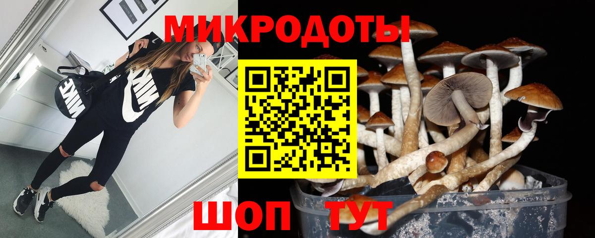 Галлюциногенные грибы мухоморы  Вход с VPN  Шахты  Псилоцибиновые грибы мицелий 